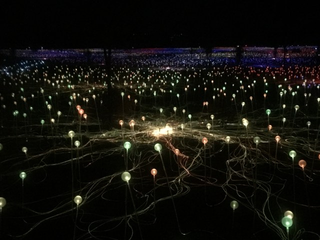 4CE7BFCF-BCE1-4B5B-BEE8-83E4BEEE9F51