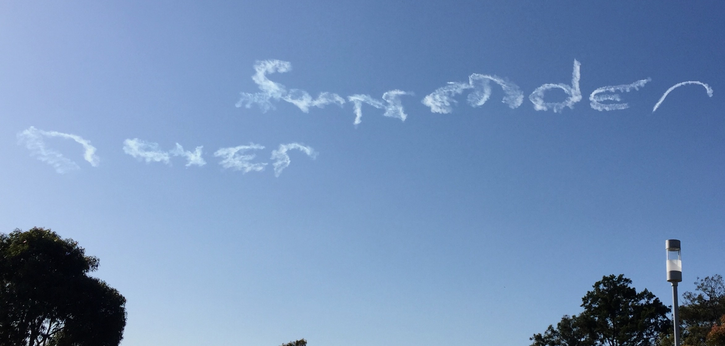 59398F99-5086-48E7-866B-ACE2287E5775