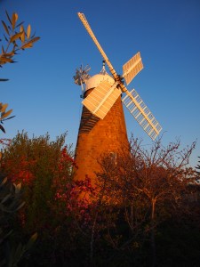 OLYMPUS DIGITAL CAMERA