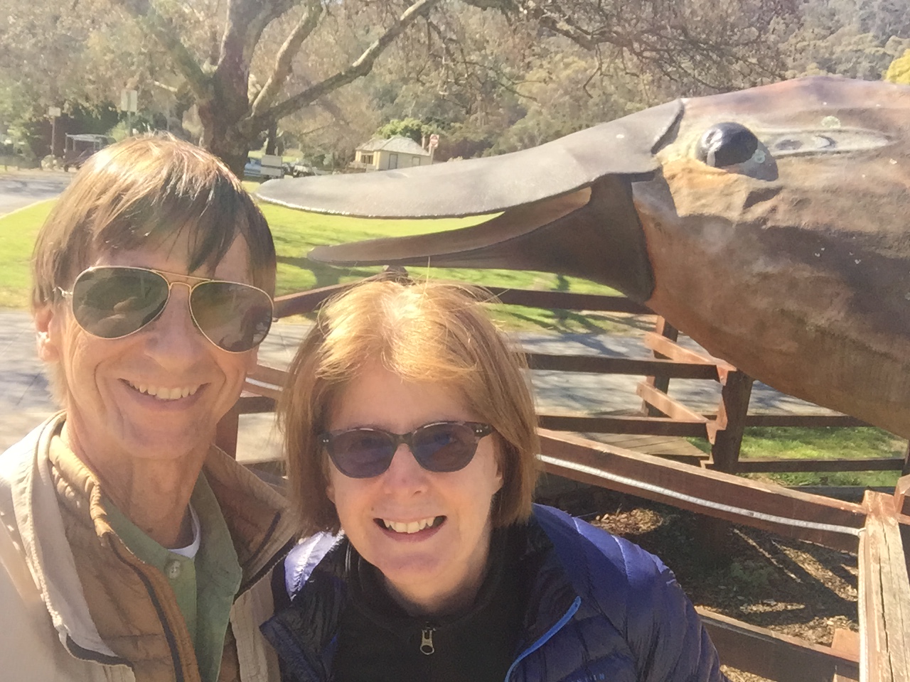 BF20E0BE-1825-4CFD-9A92-9BA37C9CA030